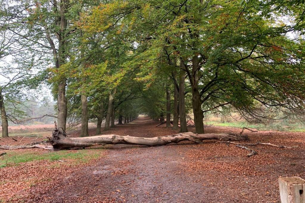 Herberg De Pas Haarle Exteriér fotografie