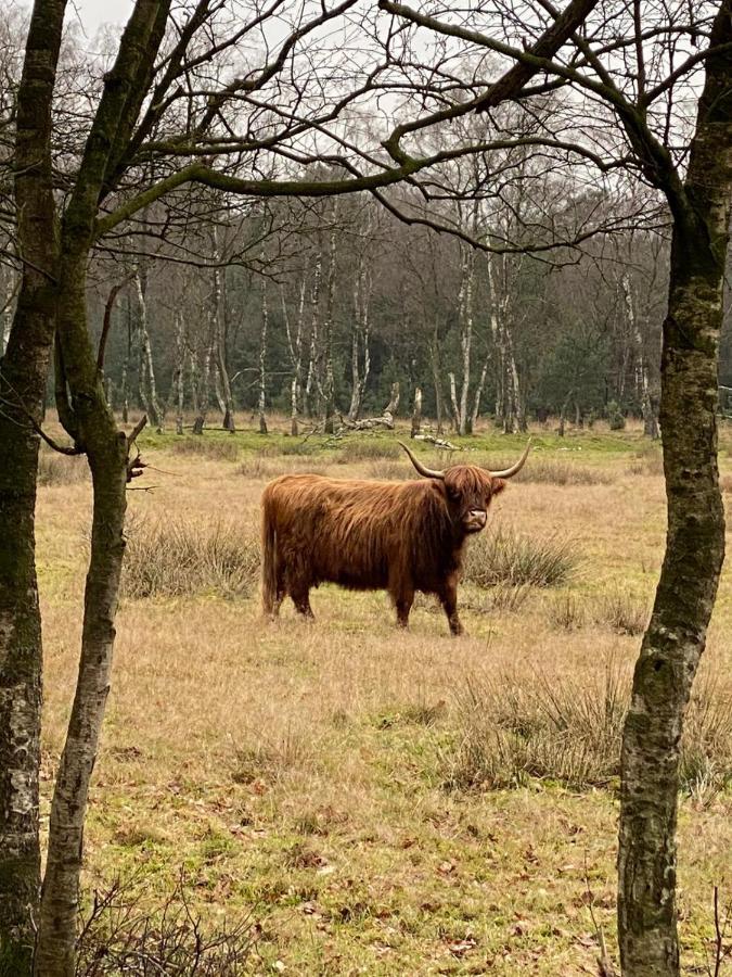Herberg De Pas Haarle Exteriér fotografie